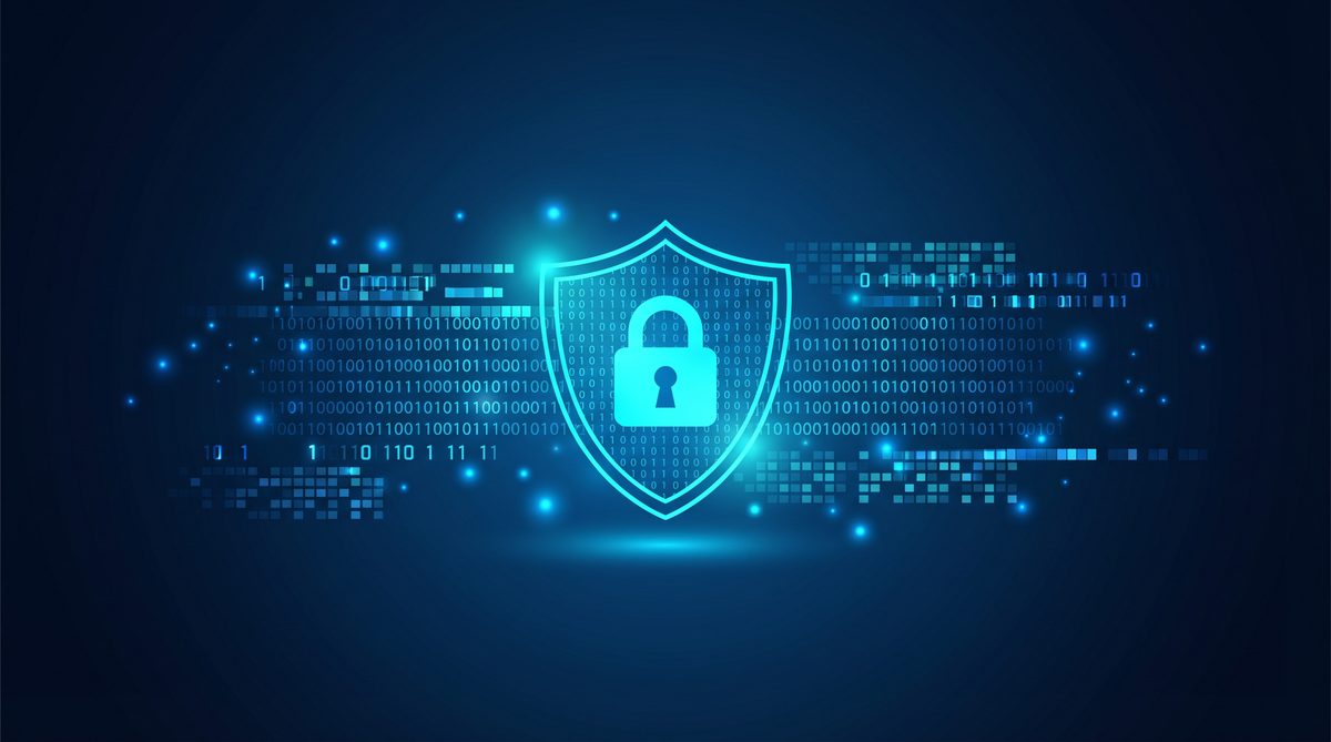 蘑加速器隐私安全保护